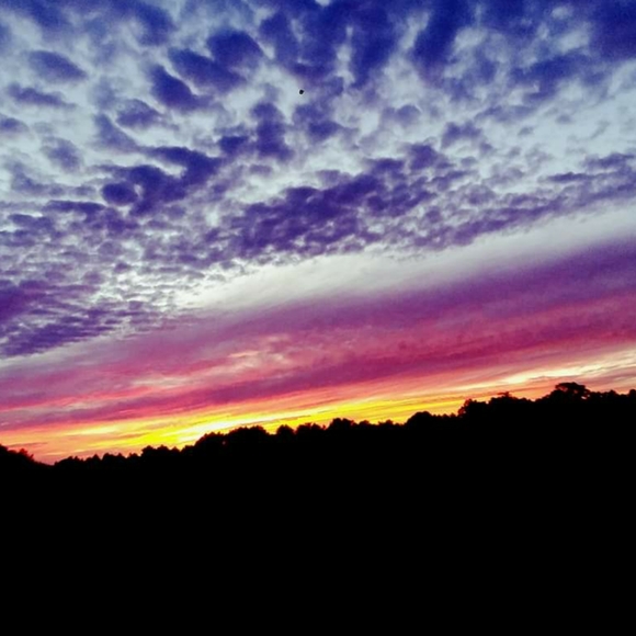 Meet your Posher, Shea - Picture 6 of 8